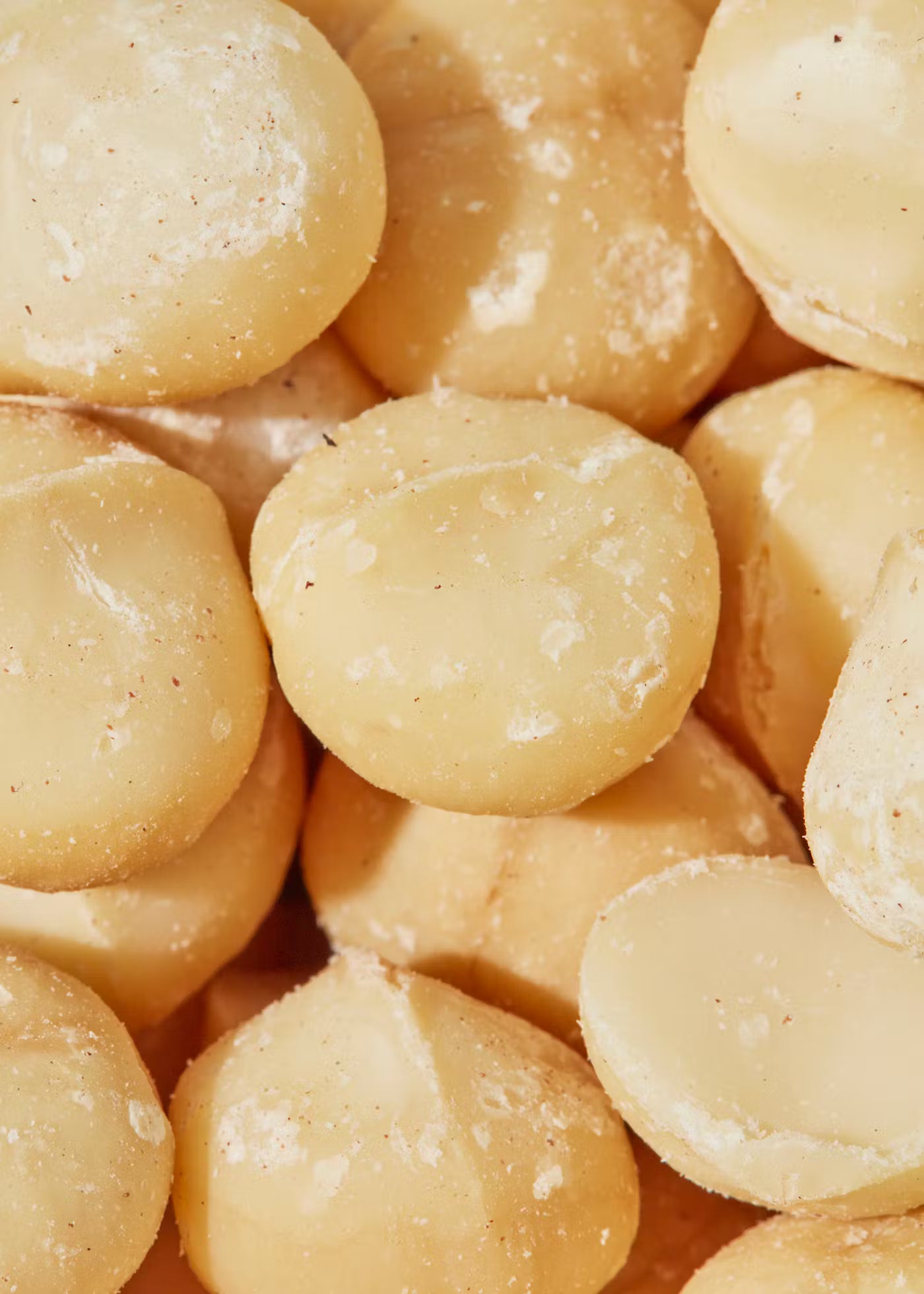 Noix de macadamia onion cream
